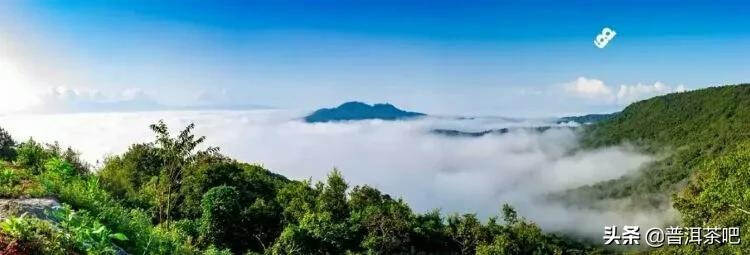 「普洱茶山行」云南普洱景迈山芒景村布朗族的家园普洱茶的故乡