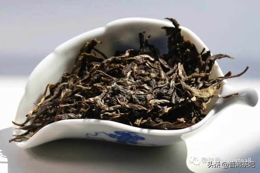 「干货分享」品茶之时，这六个词语你必须知道