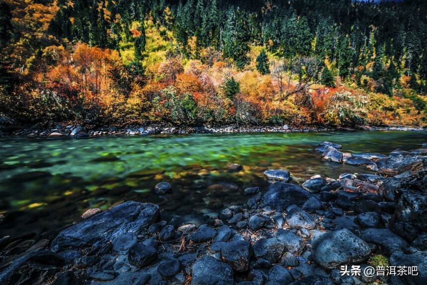 「干货分享」秋天的茶，是清爽的滋味