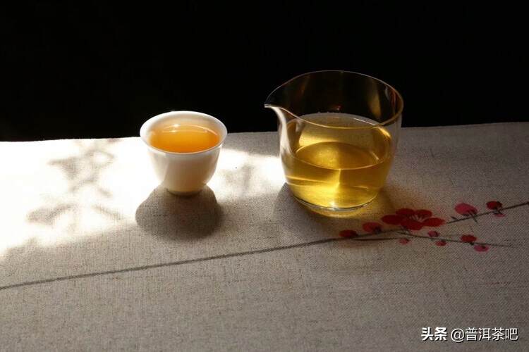 大叶厚叶就是古树茶吗？