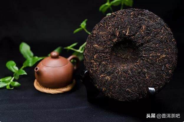 都是超级适合长时间收藏的茶，为什么这两种茶的存放如此不同？