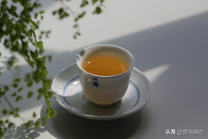 一杯茶，尽品人生沉浮