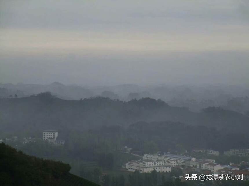 信阳毛尖的“茶窝”，处在云雾之中的白龙潭村，美轮美奂