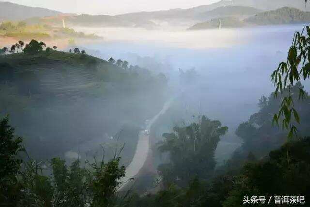 国家认证的最美茶园，就在云南宁洱县！