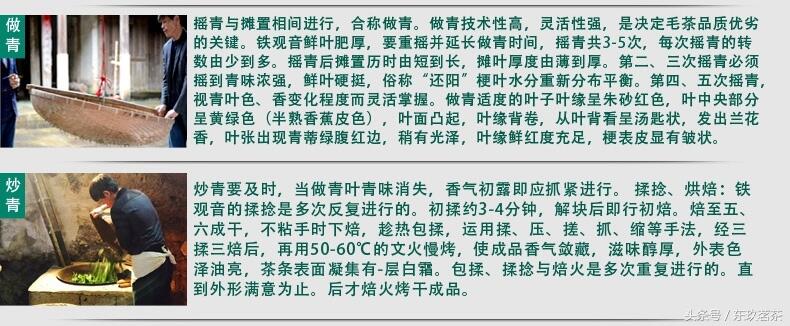 3分钟，带你了解铁观音的前世今生！