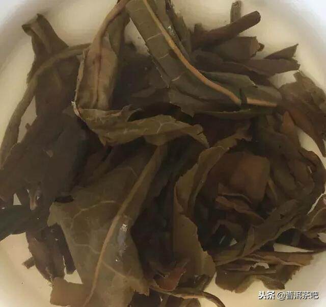 撬茶新招丨如何将又硬又紧的沱茶撬散？