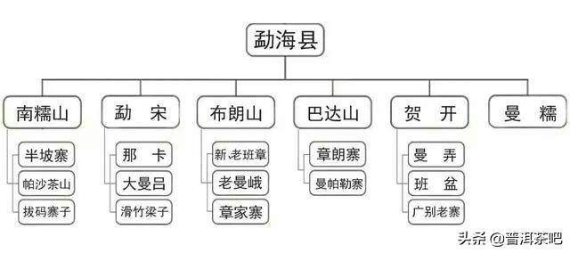 普洱茶山头丨勐海茶区山头简介