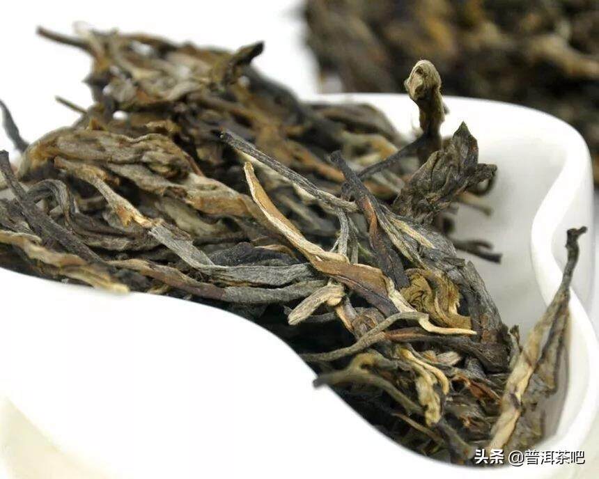 冰岛古树茶：让我告诉你怎么泡我～