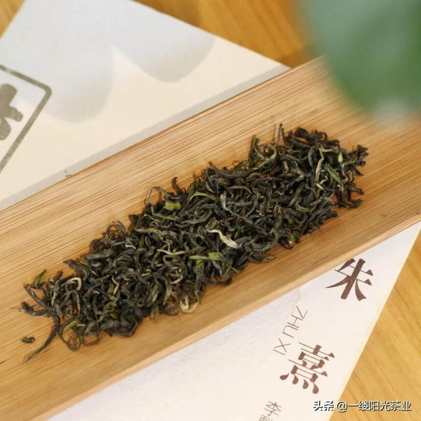 栗香玉芽：没落皇家茶园里的“一口春色”