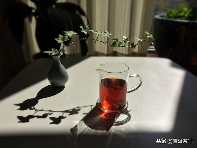 如何根据身体体质的虚实选择不同茶性的普洱茶？