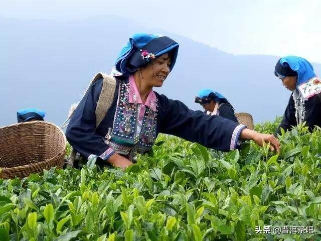 一个人喝茶，和心；两个人喝茶，和顺；一家人喝茶，和睦