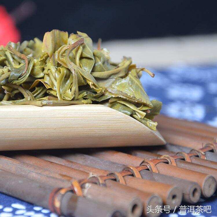 云南普洱市的八大古茶山分布情况