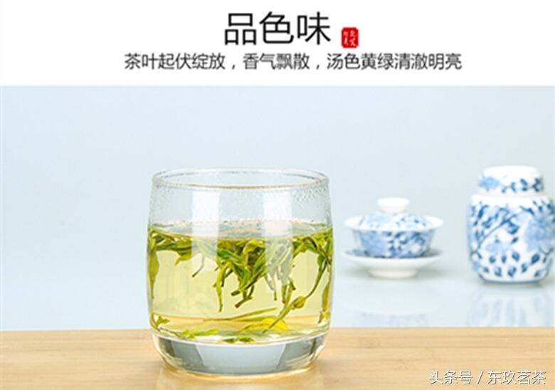 茶中珍品29——霍山黄芽（国家地理标志产品，安徽佳茗）