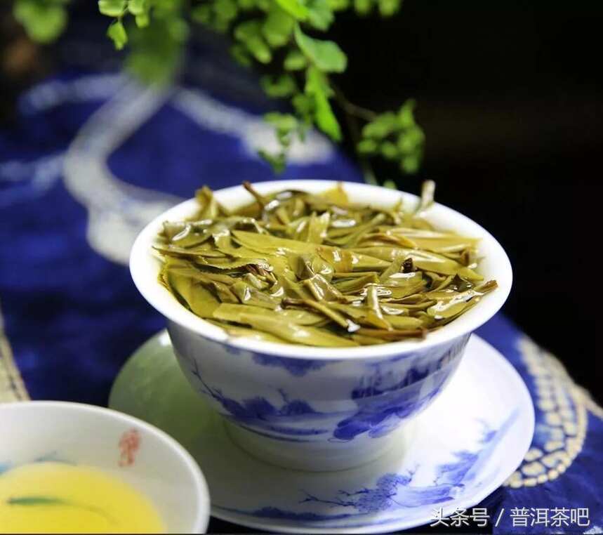 【喝茶必知】普洱茶的苦、涩味绝不是‘霸气’