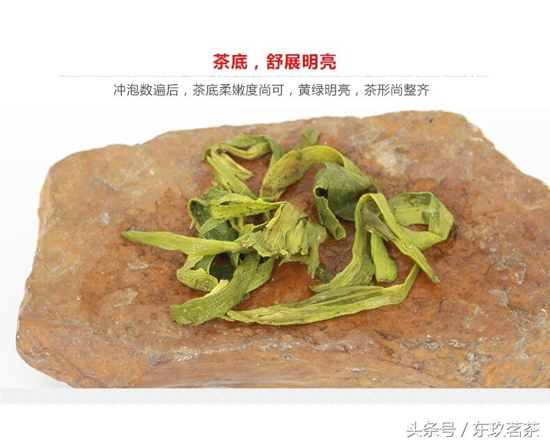 记住这5个关键点，秒变茶叶品鉴老司机！