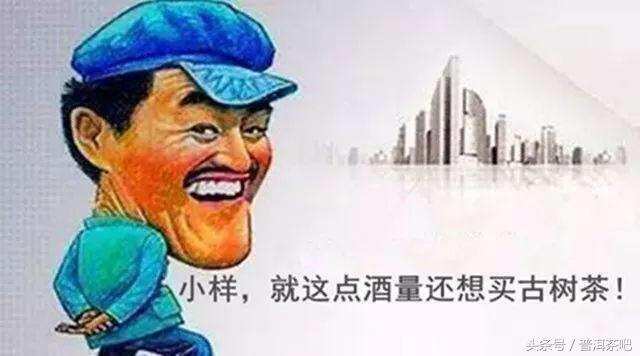 买古树不难，买到货真价实的古树很难！