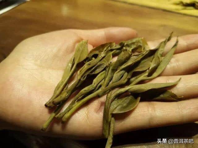 说真话，我不想让你喝刚做出的普洱新茶