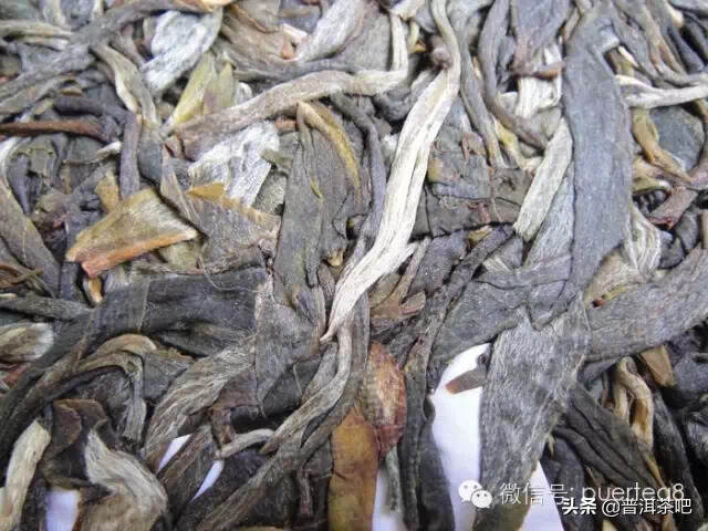 「干货分享」普洱茶杀青与茶叶品质的关系