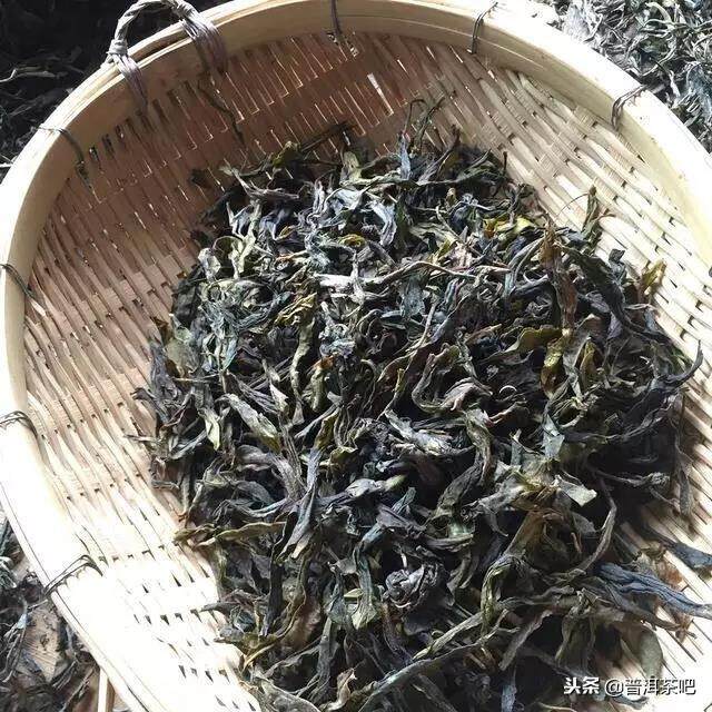 普洱生茶不宜以散茶的方式存放的7个理由