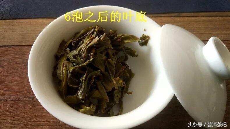 「刀哥说茶」龙珠冲泡方法详解，以春畅古树龙珠为例