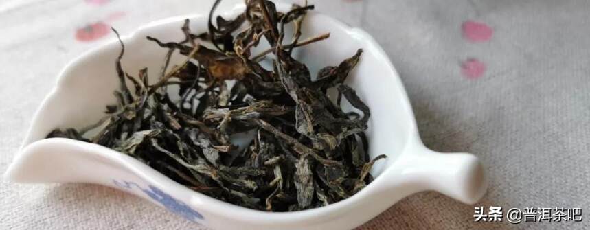 「每日一茶」| 发烧级茶友必备——易武·薄荷塘