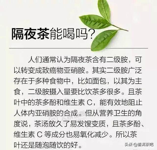 【入门干货】不懂茶，可以看图识茶