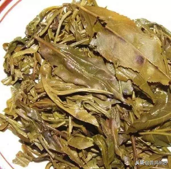 30种常见的普洱茶叶底