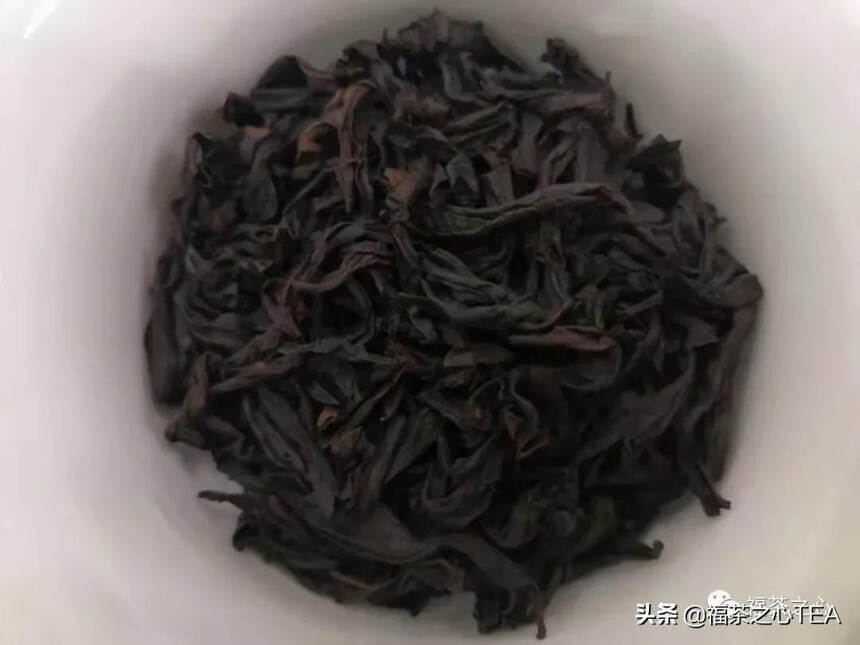 人间茶味 | 文化名流是怎么喝茶的