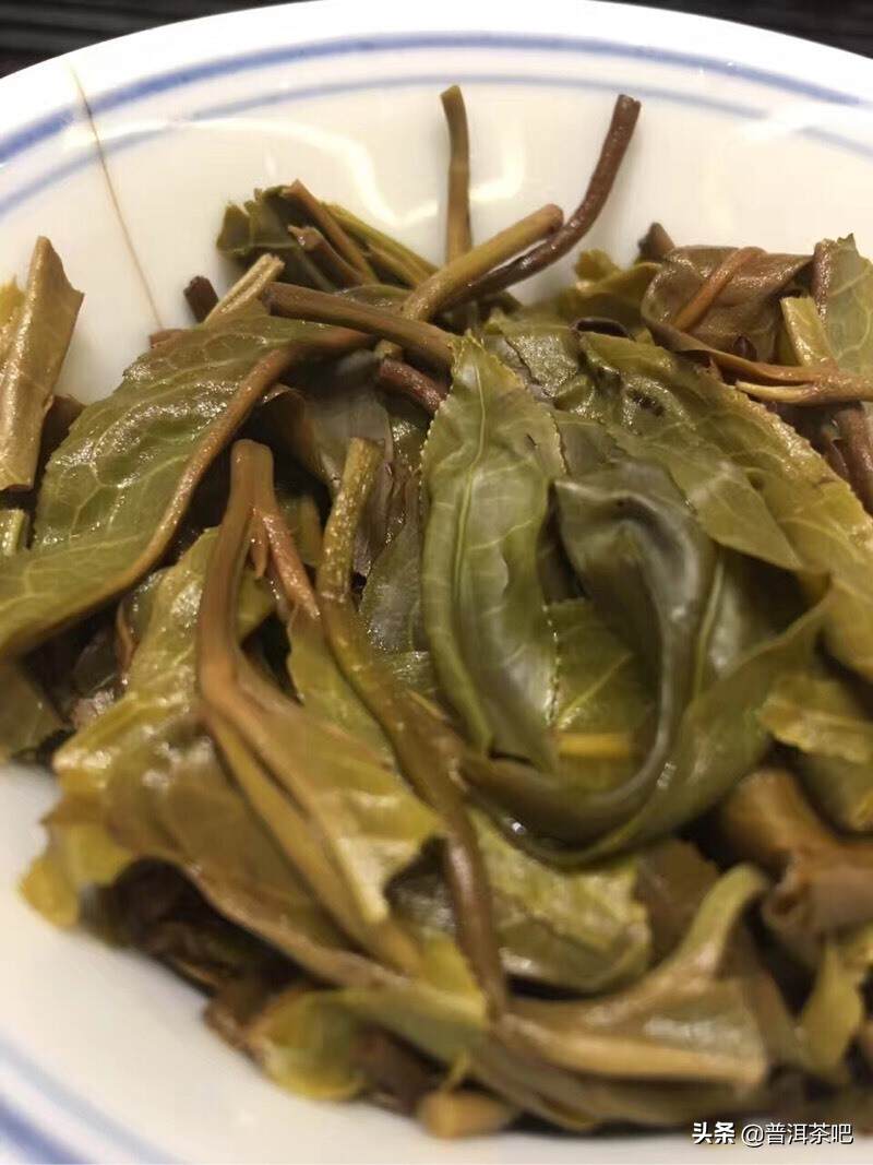 茶图丨易武落水洞的茶树与茶汤