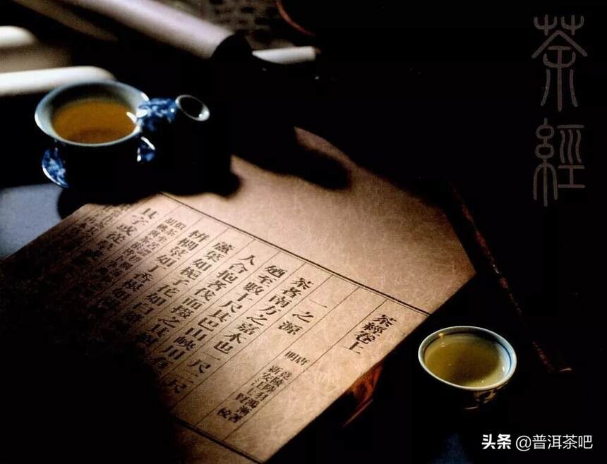 美好而又欢乐的夏日时光，由一本书，一杯普洱茶开始