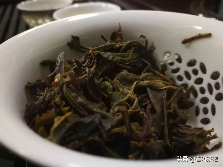 开汤品鉴丨刚压好的易武落水洞