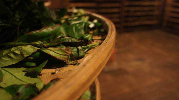 武夷岩茶在制作的时候，是哪些成分在发生变化