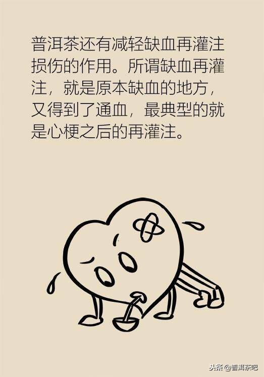 漫画普洱茶的功效