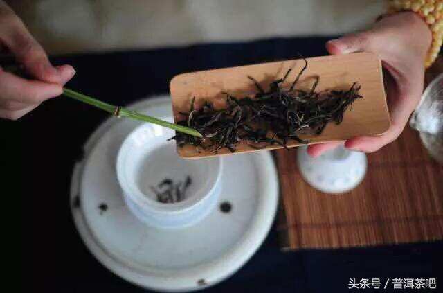 是什么决定了普洱茶的茶香类型