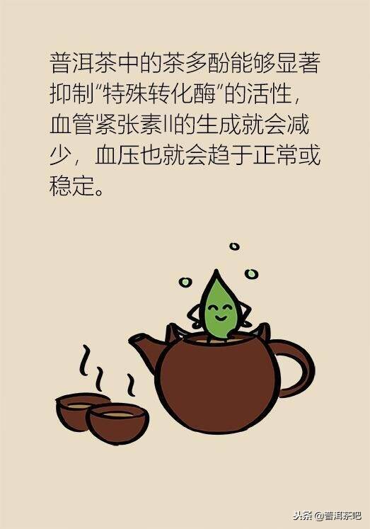 漫画普洱茶的功效