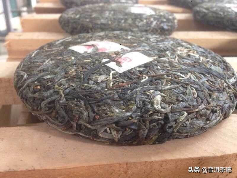 【刀哥说茶】我的买普洱茶心得