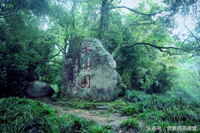 双世遗武夷山：私藏已久，3分钟了解这座北纬28°的城