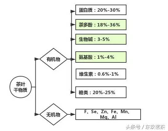 1分钟让你了解茶中的化学成分！