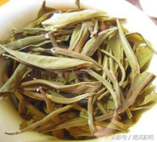 【刀哥说茶】易武茶的缺陷之美