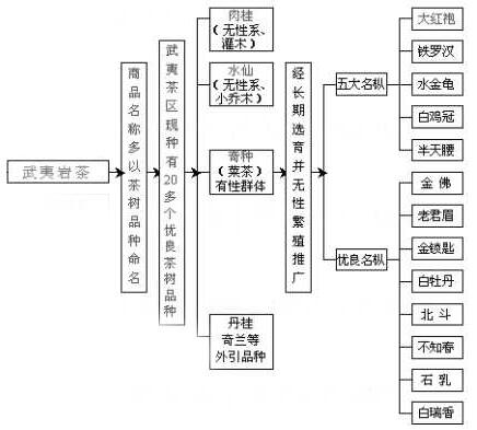 如何让岩茶门外汉轻松了解武夷岩茶是什么？5个步骤让你成为专家