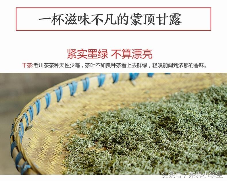 绿茶产地（7）——四川名优绿茶