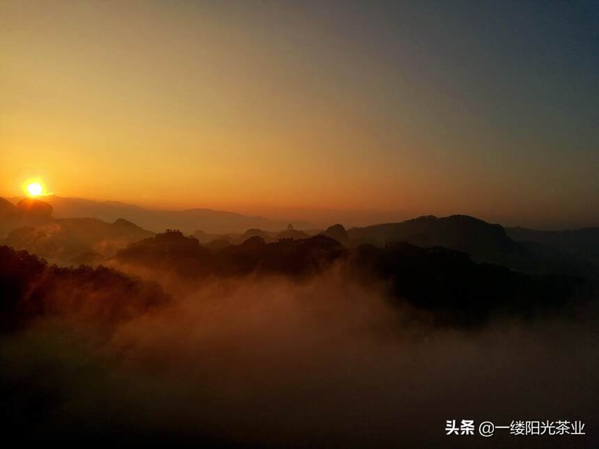 夏天的武夷山，来了就不想走了