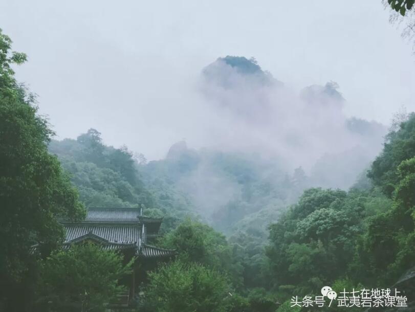 行走武夷山｜三五知己，山中清泉，煮水沏茶，何其美哉！