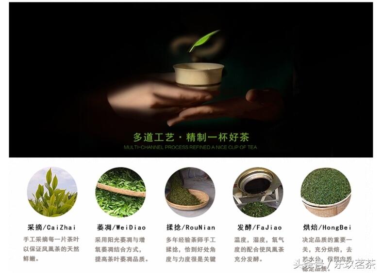 茶中珍品5——凤凰单枞