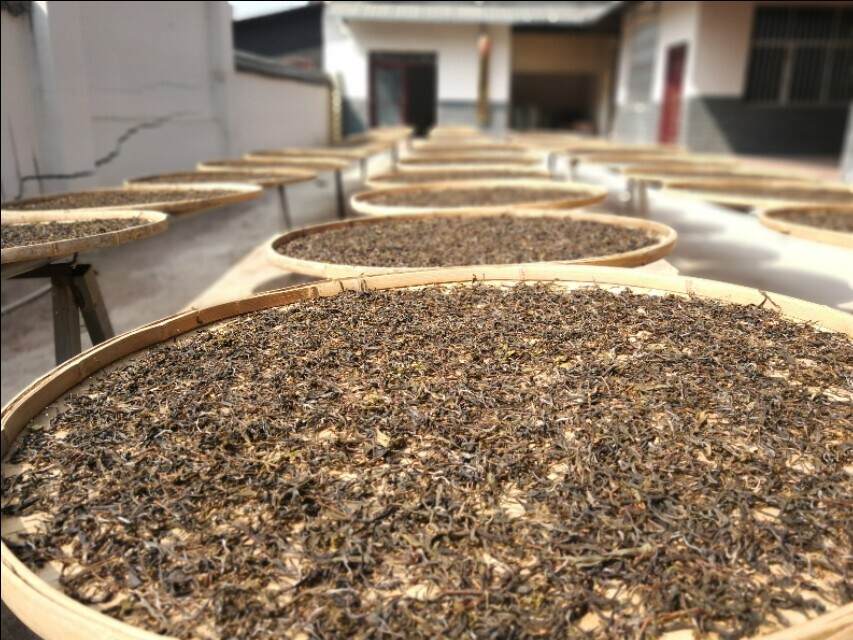 “大师”的茶，你喝了吗