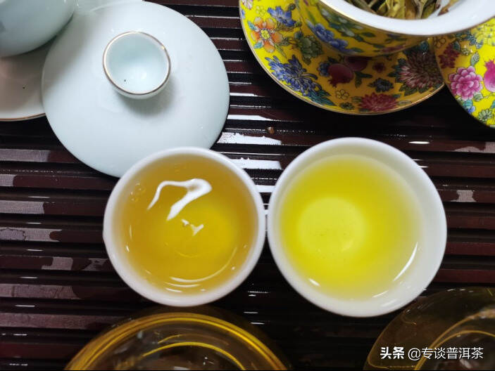 普洱茶春茶和秋茶之分，你们了解吗？