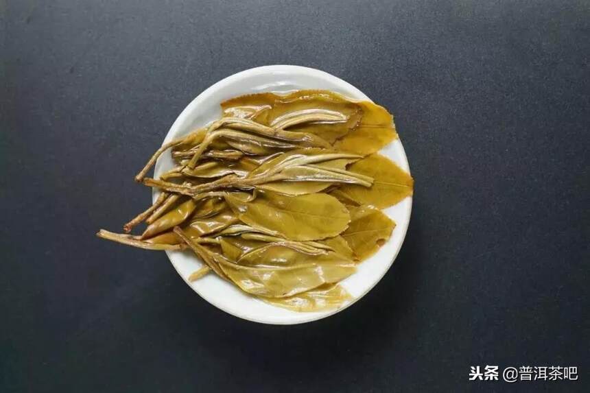 「刀哥说茶」喝懂老曼峨的苦茶和甜茶