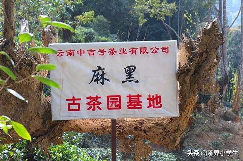 中吉号：主营普洱茶，新三板存续时间最短、第1个主动摘牌的茶企