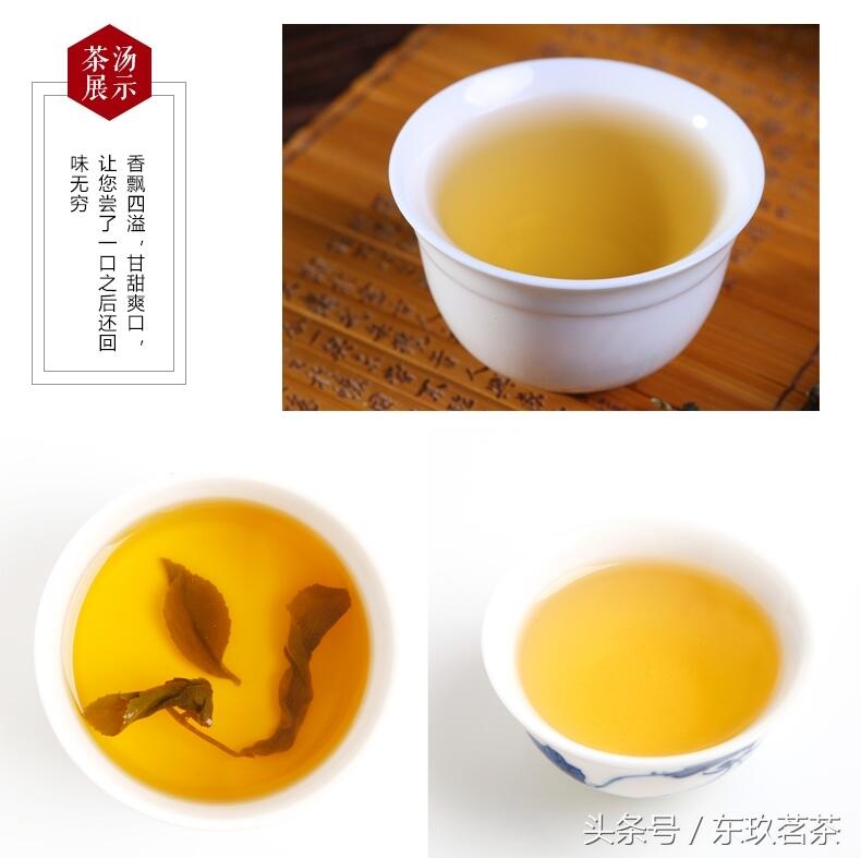 茶中珍品7——宝岛台湾，冻顶乌龙茶