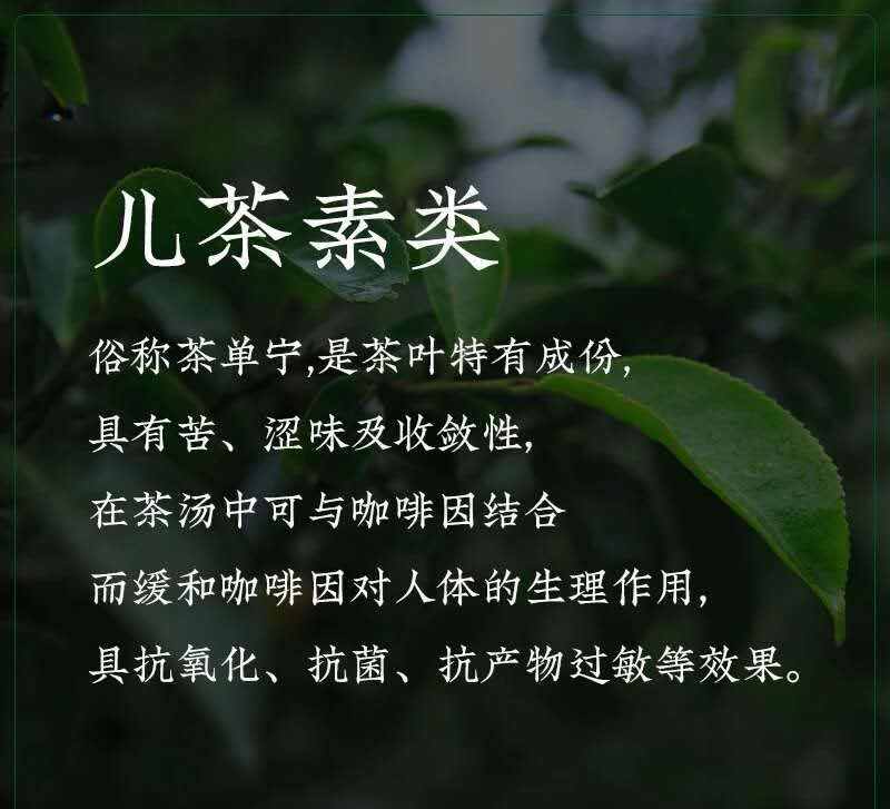 9张图片带你了解普洱茶的内含物质及相关的作用